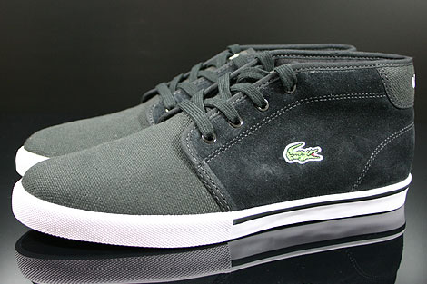 lacoste ampthill