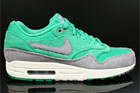 Nike Air Max 1 Premium Stadium Green Charcoal Sail