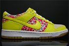 Nike Dunk Low WMNS Carmine Zest Nike Dunk Low WMNS Carmine Zest
