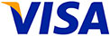 Visa Logo English